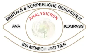 analysieren-mentale-gesundheit